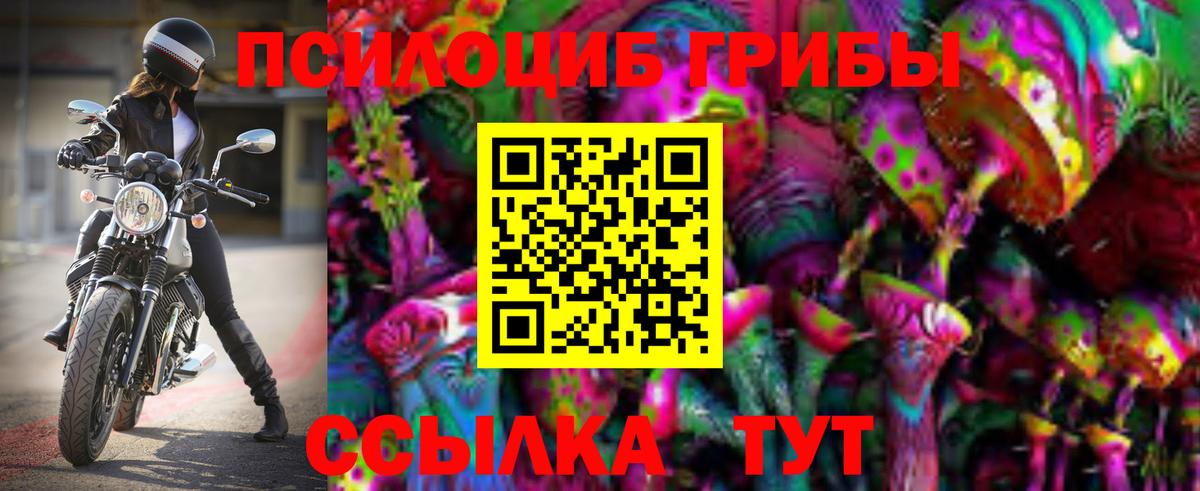 Галлюциногенные грибы прущие грибы Нягань